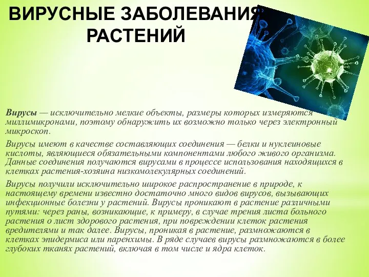 ВИРУСНЫЕ ЗАБОЛЕВАНИЯ РАСТЕНИЙ Вирусы — исключительно мелкие объекты, размеры которых измеряются