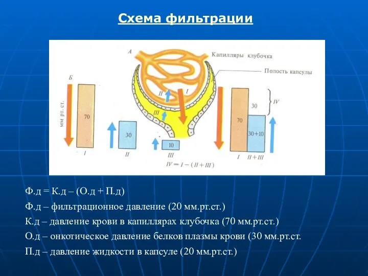 Схема фильтрации Ф.д = К.д – (О.д + П.д) Ф.д –