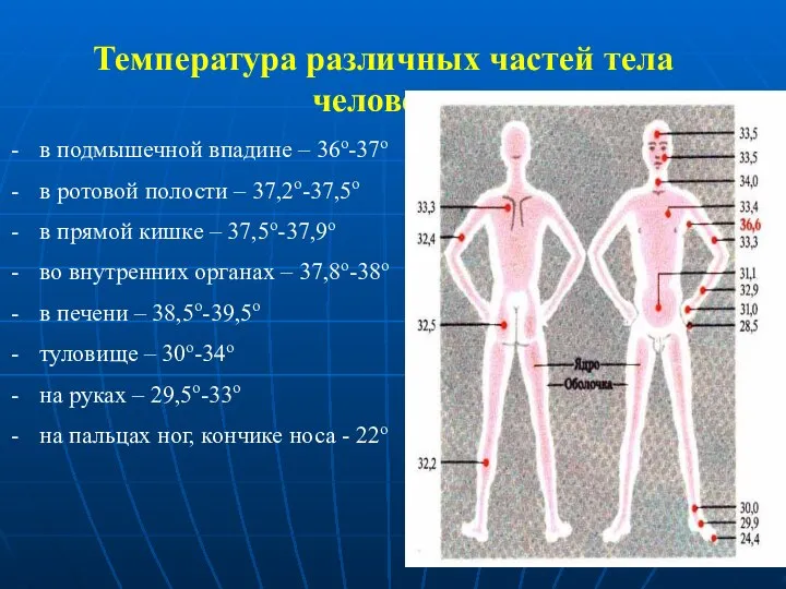 в подмышечной впадине – 36о-37о в ротовой полости – 37,2о-37,5о в