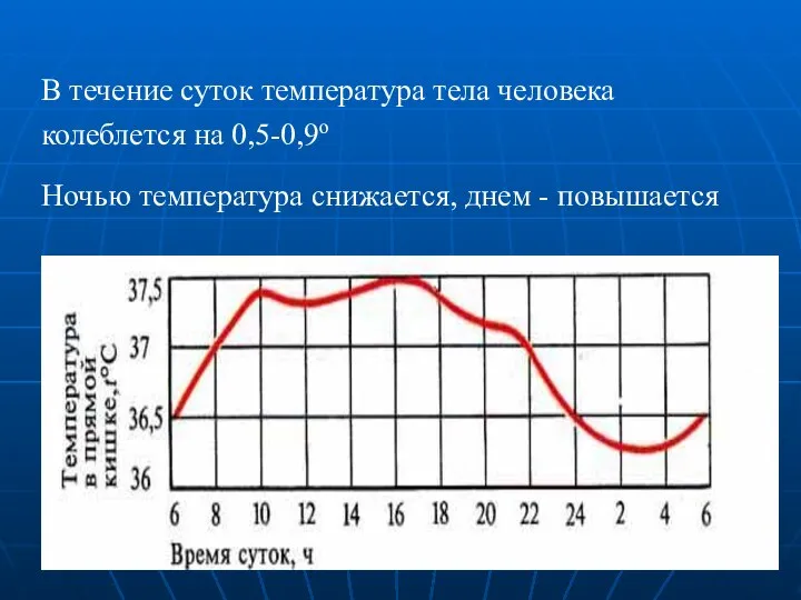 В течение суток температура тела человека колеблется на 0,5-0,9о Ночью температура снижается, днем - повышается