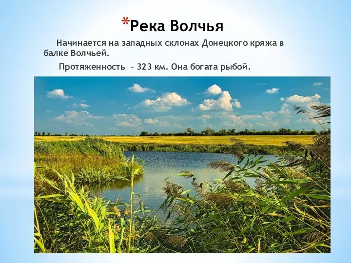 Река Волчья Начинается на западных склонах Донецкого кряжа в балке Волчьей.