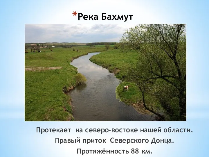 Река Бахмут Протекает на северо-востоке нашей области. Правый приток Северского Донца. Протяжённость 88 км.