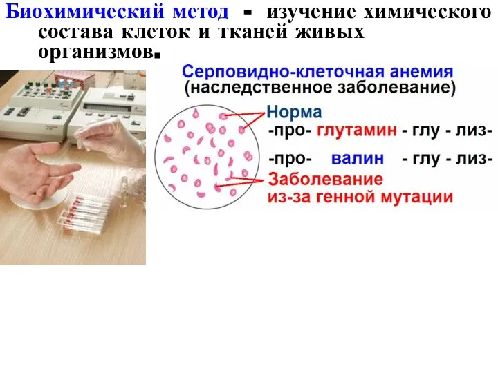 Биохимический метод - изучение химического состава клеток и тканей живых организмов.