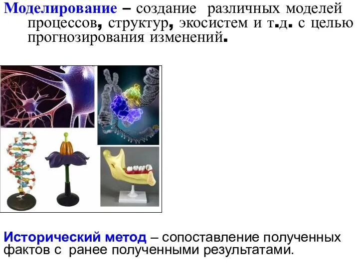 Моделирование – создание различных моделей процессов, структур, экосистем и т.д. с