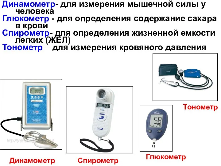 Динамометр- для измерения мышечной силы у человека Глюкометр - для определения