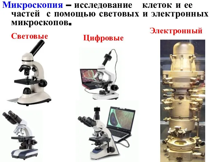 Микроскопия – исследование клеток и ее частей с помощью световых и электронных микроскопов. Световые Цифровые Электронный