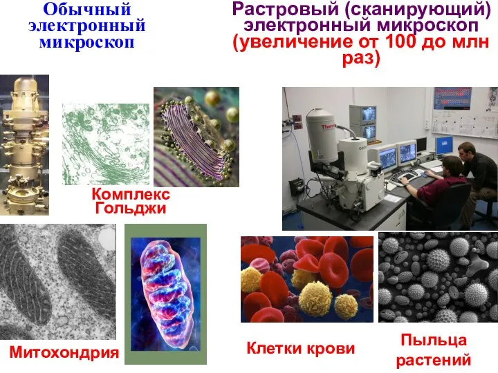 Растровый (сканирующий) электронный микроскоп (увеличение от 100 до млн раз) Обычный