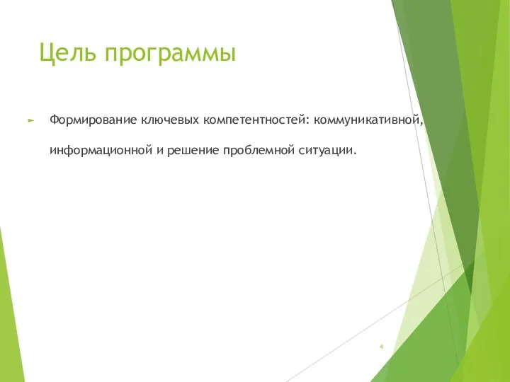 Цель программы Формирование ключевых компетентностей: коммуникативной, информационной и решение проблемной ситуации.