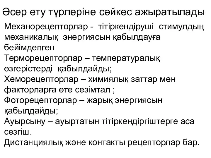 Әсер ету түрлеріне сәйкес ажыратылады: Механорецепторлар - тітіркендіруші стимулдың механикалық энергиясын