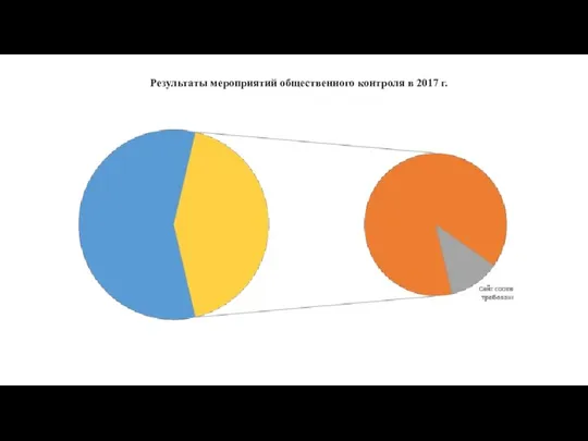 Результаты мероприятий общественного контроля в 2017 г.