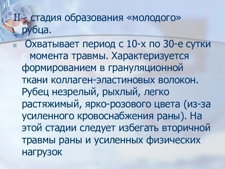 II - стадия образования «молодого» рубца. Охватывает период с 10-х по