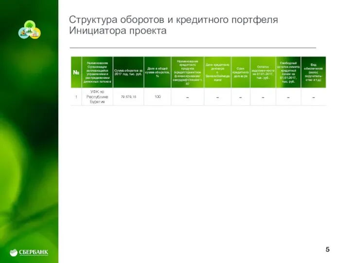 Структура оборотов и кредитного портфеля Инициатора проекта 5