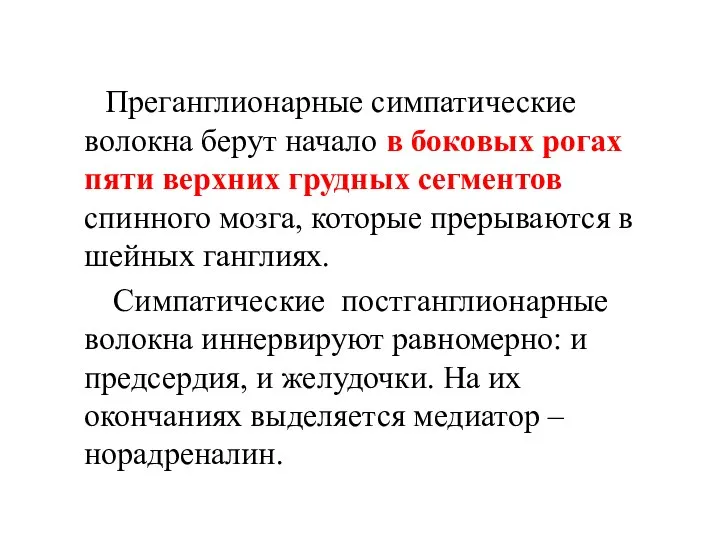 Преганглионарные симпатические волокна берут начало в боковых рогах пяти верхних грудных