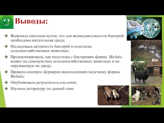 Выводы: Выяснила опытным путем, что для жизнедеятельности бактерий необходима питательная среда;