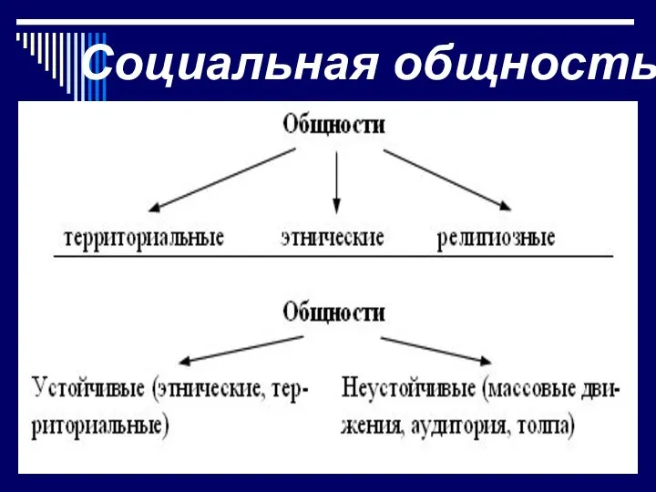 Социальная общность