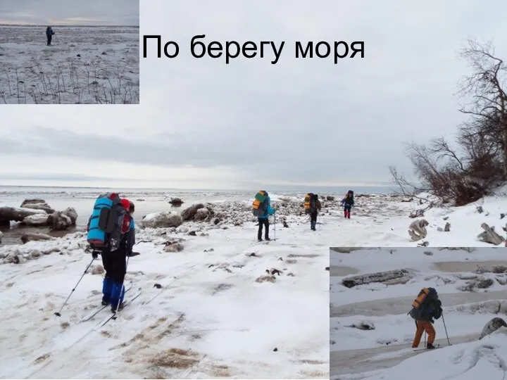 По берегу моря