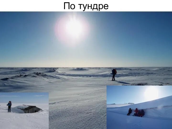 По тундре