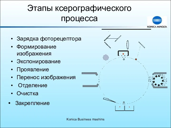 Konica Business mashins Этапы ксерографического процесса Зарядка фоторецептора Формирование изображения Экспонирование
