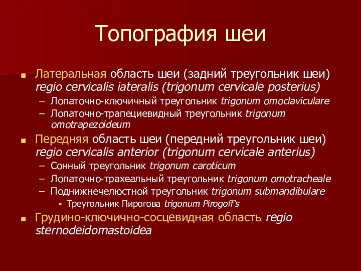 Топография шеи Латеральная область шеи (задний треугольник шеи) regio cervicalis iateralis