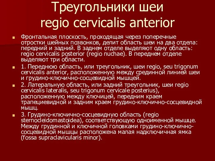 Треугольники шеи regio cervicalis anterior Фронтальная плоскость, проходящая через поперечные отростки