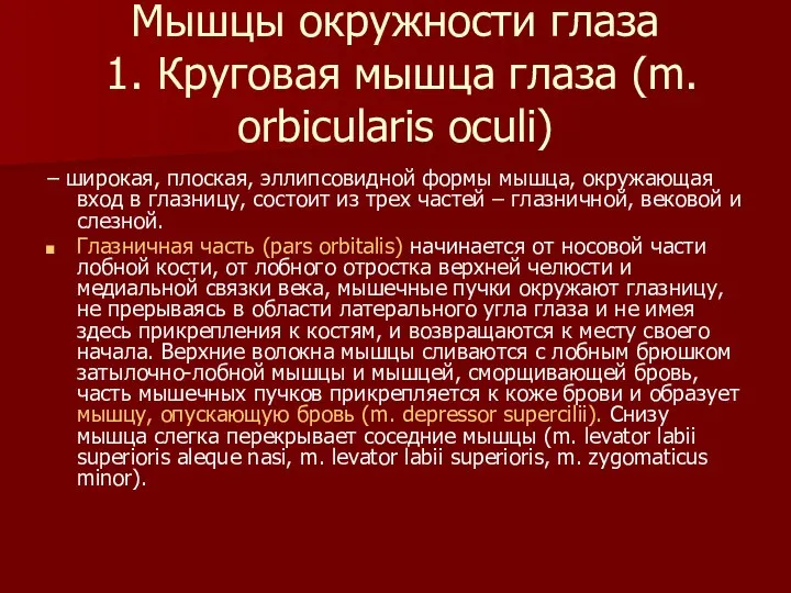 Мышцы окружности глаза 1. Круговая мышца глаза (m. orbicularis oculi) –