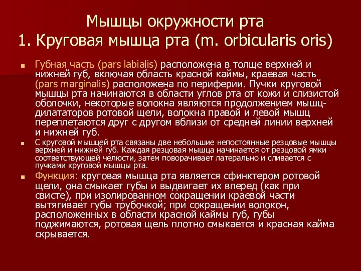 Мышцы окружности рта 1. Круговая мышца рта (m. orbicularis oris) Губная