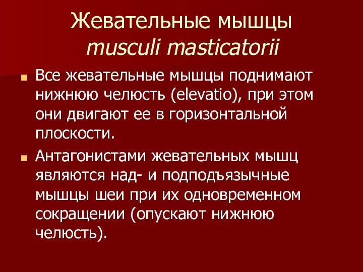 Жевательные мышцы musculi masticatorii Все жевательные мышцы поднимают нижнюю челюсть (elevatio),