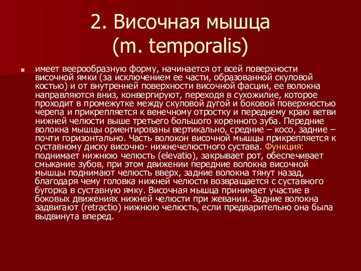 2. Височная мышца (m. temporalis) имеет веерообразную форму, начинается от всей