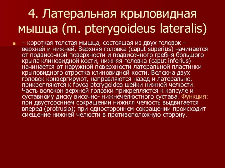 4. Латеральная крыловидная мышца (m. pterygoideus lateralis) – короткая толстая мышца,