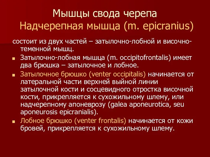 Мышцы свода черепа Надчерепная мышца (m. epicranius) состоит из двух частей