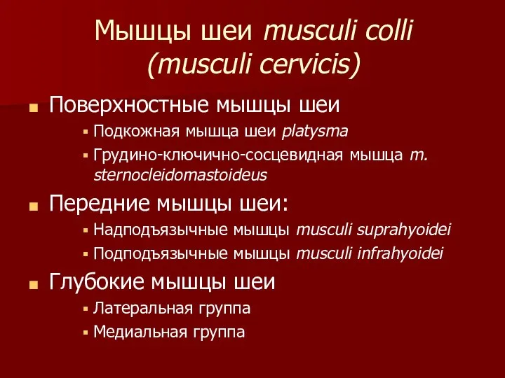 Мышцы шеи musculi colli (musculi cervicis) Поверхностные мышцы шеи Подкожная мышца