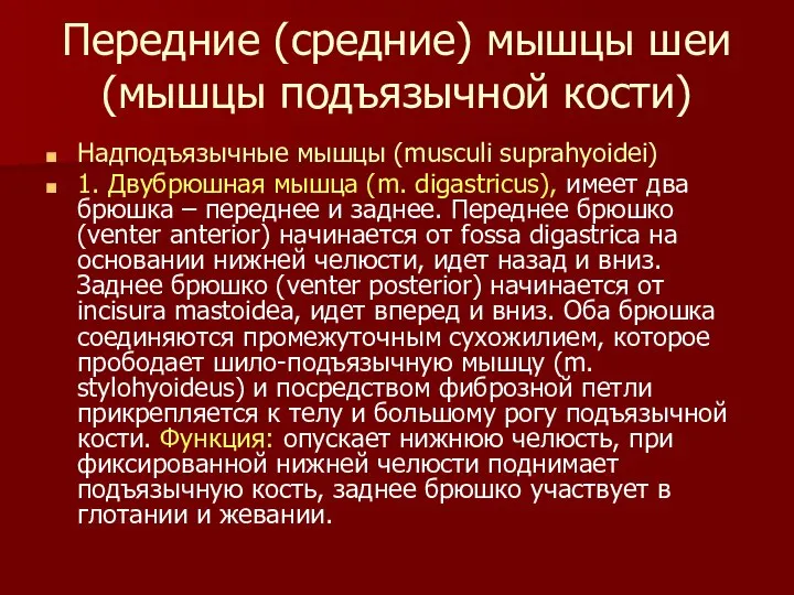 Передние (средние) мышцы шеи (мышцы подъязычной кости) Надподъязычные мышцы (musculi suprahyoidei)