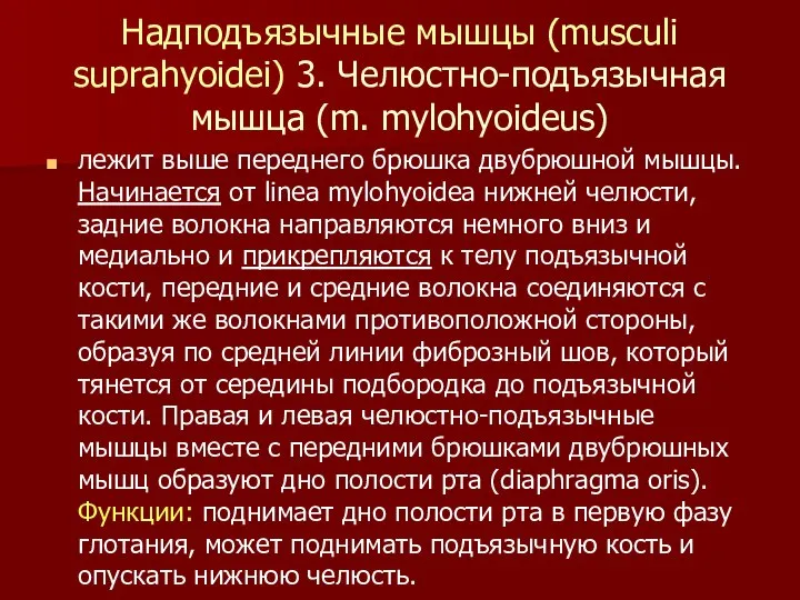 Надподъязычные мышцы (musculi suprahyoidei) 3. Челюстно-подъязычная мышца (m. mylohyoideus) лежит выше