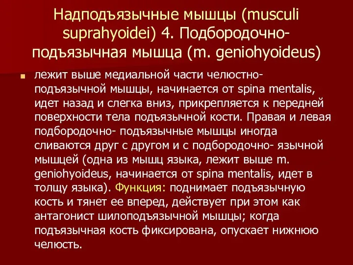 Надподъязычные мышцы (musculi suprahyoidei) 4. Подбородочно-подъязычная мышца (m. geniohyoideus) лежит выше