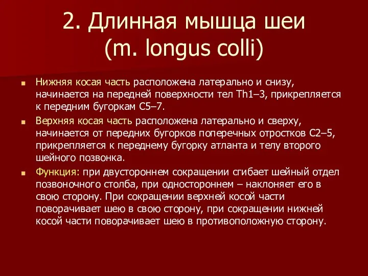 2. Длинная мышца шеи (m. longus colli) Нижняя косая часть расположена