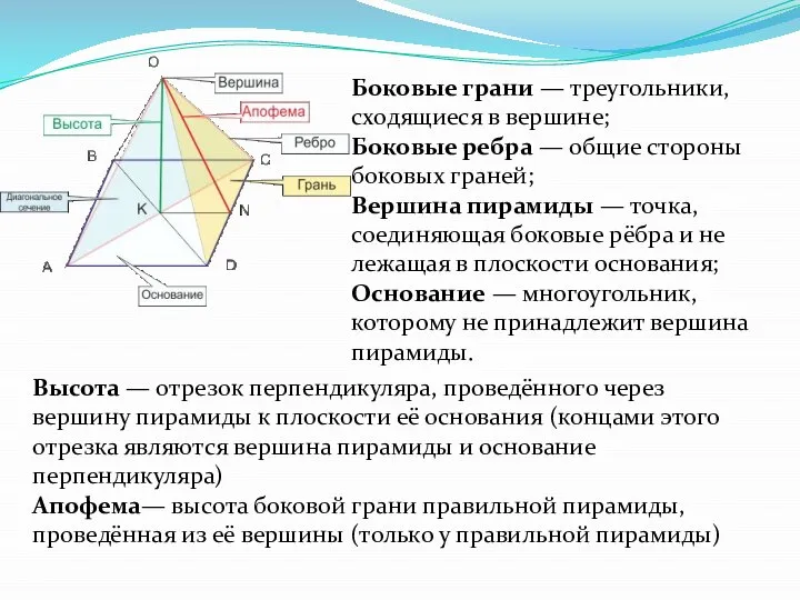 Боковые грани — треугольники, сходящиеся в вершине; Боковые ребра — общие