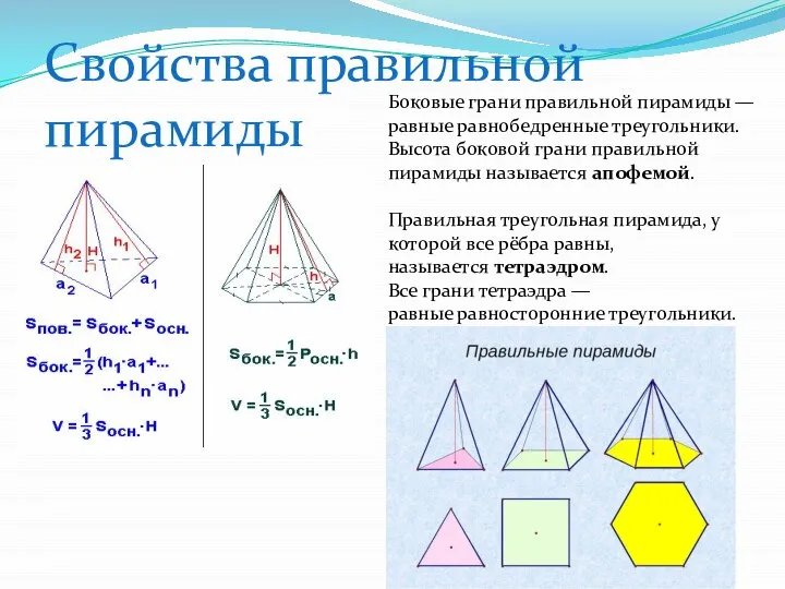Боковые грани правильной пирамиды — равные равнобедренные треугольники. Высота боковой грани