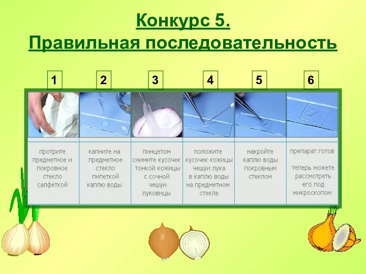 Конкурс 5. Правильная последовательность 1 2 3 4 5 6