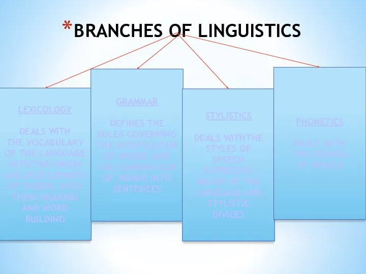 BRANCHES OF LINGUISTICS LEXICOLOGY DEALS WITH THE VOCABULARY OF THE LANGUAGE