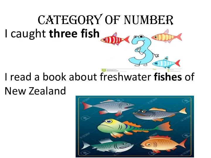 Category of Number I caught three fish I read a book