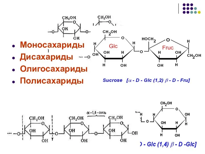 Моносахариды Дисахариды Олигосахариды Полисахариды