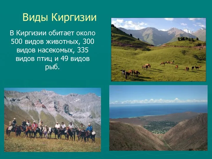 Виды Киргизии В Киргизии обитает около 500 видов животных, 300 видов