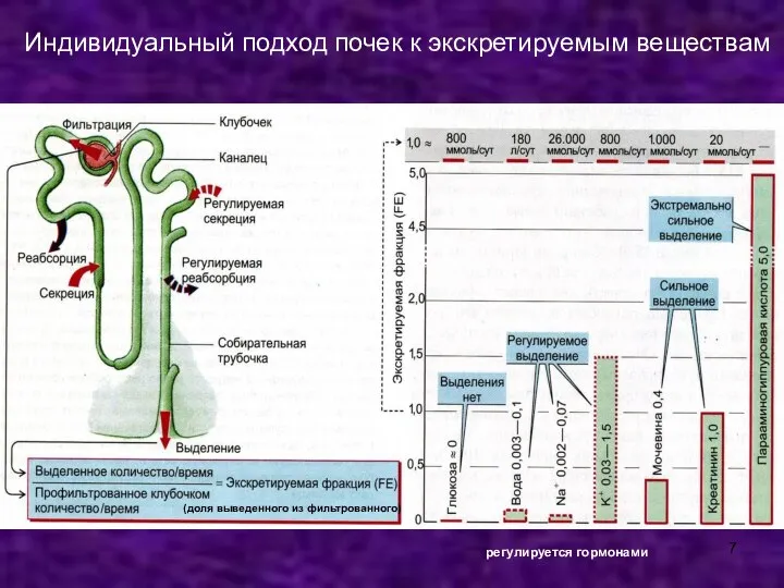 Индивидуальный подход почек к экскретируемым веществам регулируется гормонами (доля выведенного из фильтрованного)