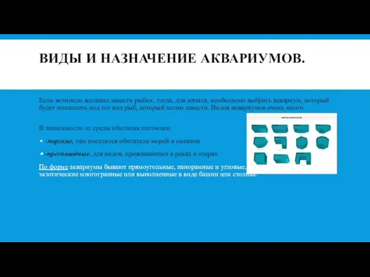 ВИДЫ И НАЗНАЧЕНИЕ АКВАРИУМОВ. Если возникло желание завести рыбок, тогда, для