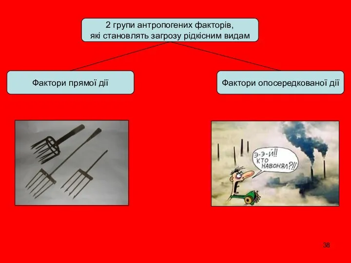 2 групи антропогених факторів, які становлять загрозу рідкісним видам Фактори прямої дії Фактори опосередкованої дії