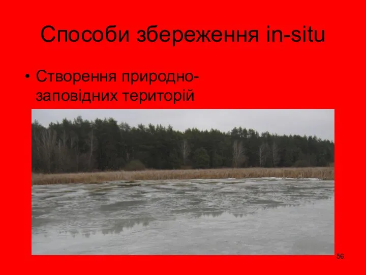 Створення природно-заповідних територій Способи збереження in-situ