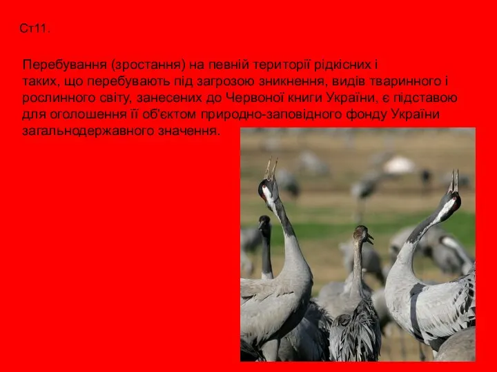 Ст11. Перебування (зростання) на певній території рідкісних і таких, що перебувають