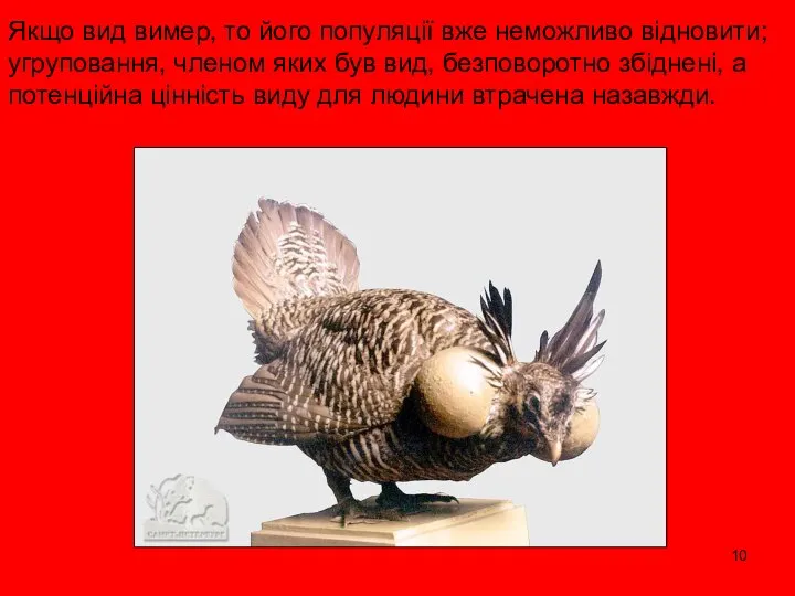 Якщо вид вимер, то його популяції вже неможливо відновити; угруповання, членом