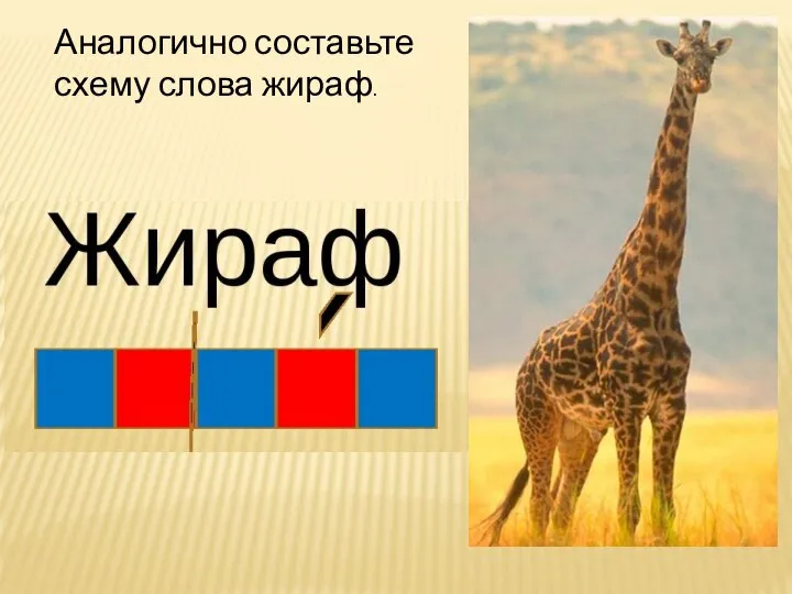 Аналогично составьте схему слова жираф.