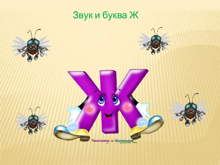 Звук и буква Ж